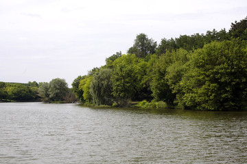 Landscape with forest and summer lake © acceptfoto