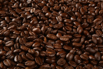 Darak coffee bean background