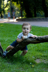 Little boy with a toy in hands lying on the tree in the park