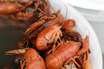 Red boiled crayfish