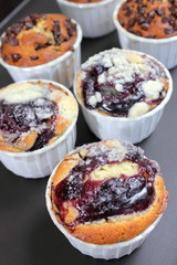  Blueberry Muffin on  plate as close up.