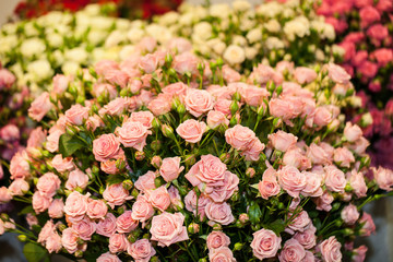 Fototapeta premium Beautiful bouquet of pink roses