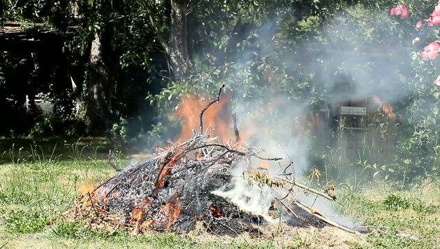 Feu , Jardinage et broussailles