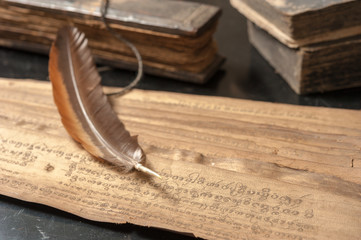 Ancient Treatise with bird feather