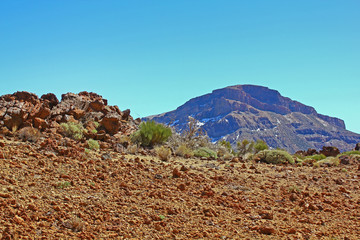 Desert view near Teide volcano (Tenerife, Canary Islands)
