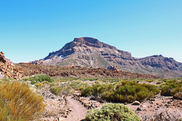 Desert near Teide volcano (Tenerife, Canarian Islands, Spain)
