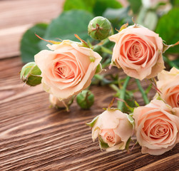 rose flower on wood background