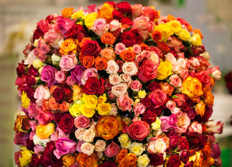 beautiful bouquet of multicolored roses