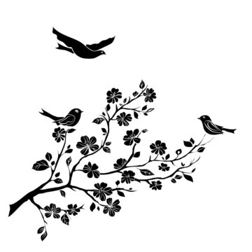 twig cherry blossoms  and  birds