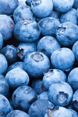 Bunch of blueberries - close up studio shot
