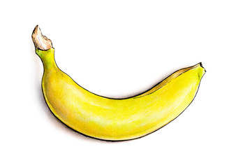 Banana isolated on white background. Watercolor illustration. Tropical fruit