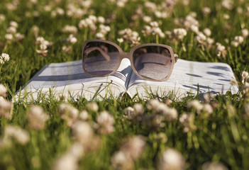 Book and sunglasses on the grass