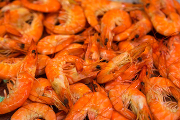 Shrimps