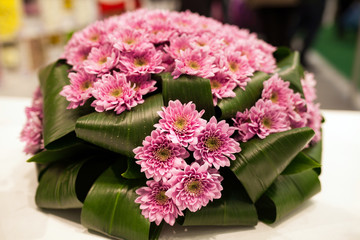 bouquet of chrysanthemums