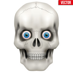 Human skull with open eyes. 