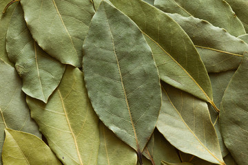 Dried bay leaf folded over itself as background.