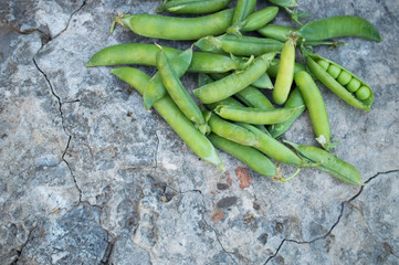 fresh peas