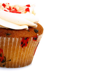 cupcake isolated