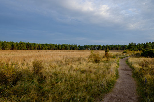D&uuml;nengebiet am Darsser Ort, Nationalpark Vorpommersche Boddenlan