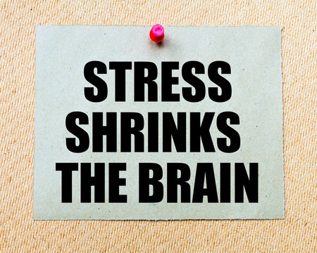 Stress Shrinks The Brain Written On Paper Note