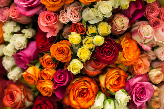 beautiful bouquet of multicolored roses