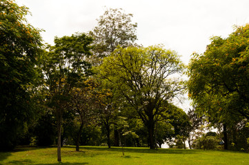 Lago Igapó, Londrina, Paraná