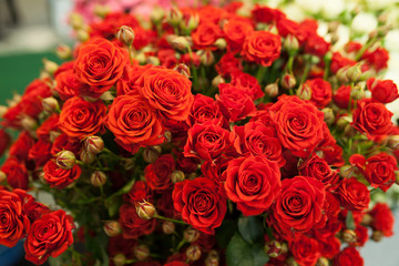 Beautiful bouquet of red roses