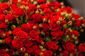 Beautiful bouquet of red roses