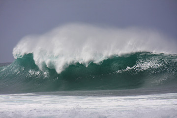 big wave in Hawaii, USA