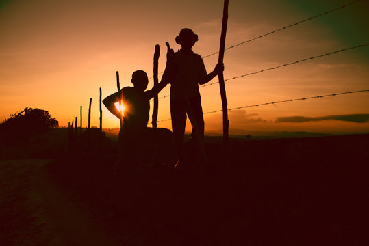 Entardecer no campo