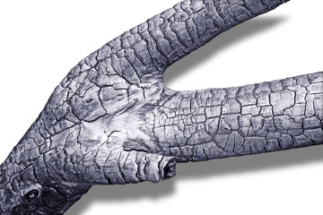 Naklejka premium verkohlter Ast