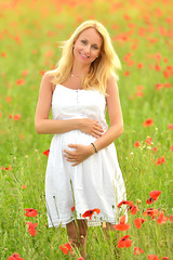 Naklejka na ściany i meble enceintes femme heureuse dans un champ de pavot floraison 
