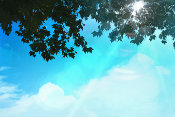 Obraz premium ciels nuages