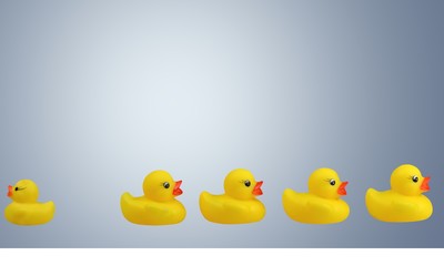 Rubber Duck, Following, Duckling.