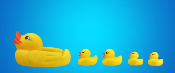 Rubber Duck, Following, Duckling.