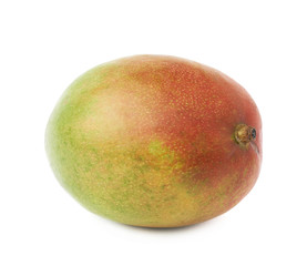Single mango fruit isolated