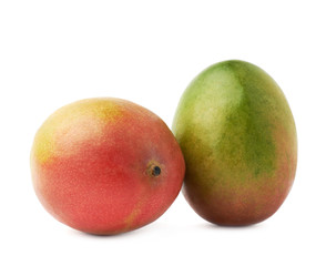 Two mango fruits isolated