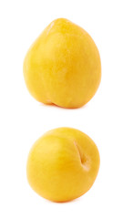 Single yellow mirabelle plum isolated