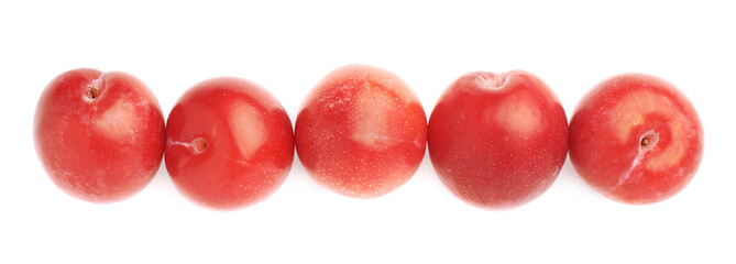 Lined up red plums isolated