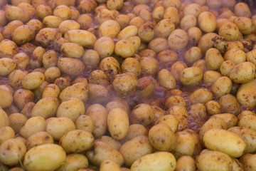 Potatoes cooked in a pan