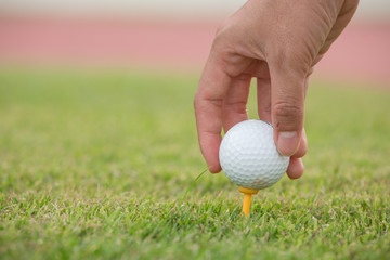 Hand hold golf ball with tee on course, close-up