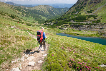 Woman hiking with sticks in Carpathian mountains