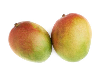 Two mango fruits isolated