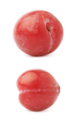 Single red victoria plum isolated