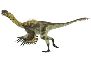 Citipati Side Profile