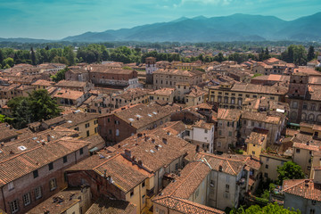 Fototapeta premium Scenic view of Lucca, Italy