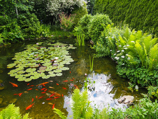 Idyllischer Gartenteich mit Fischen