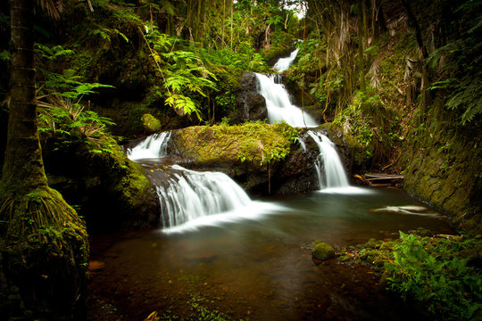 Fototapeta Beautiful Hawaiian Waterfall