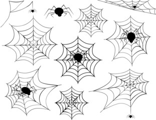 Spider Web Collection-Collection of different spider webs and different spiders including corner spider webs, hanging spiders and a variety of other spider webs