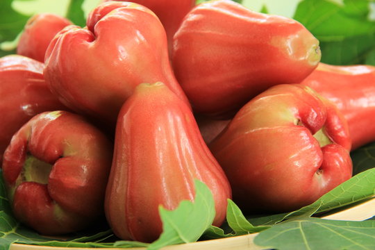 Fresh rose apple /on a decorated plate